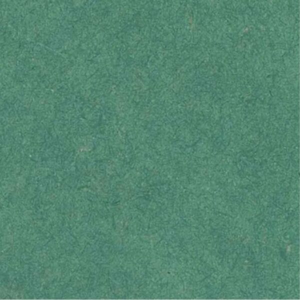 CG23000021 MENTHE.600.jpg